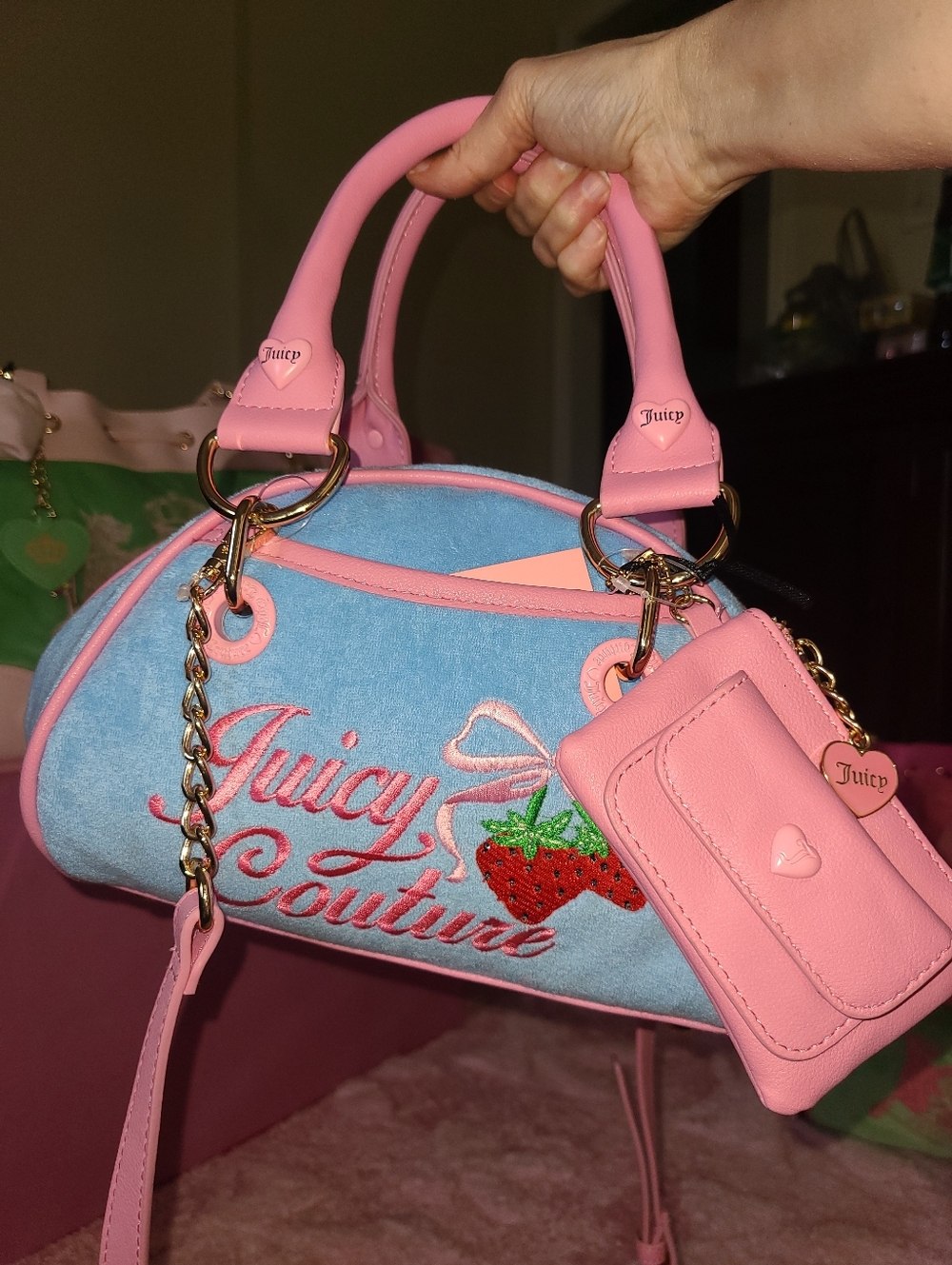 Juicy Couture Bag 🍓